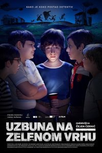  Тайна Зелёного Холма (2017) 