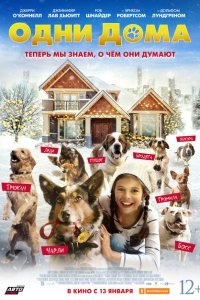  Одни дома (2021) 