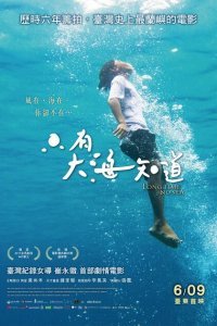  До скорой встречи (2018) 