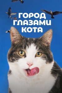  Город глазами кота (2018) 