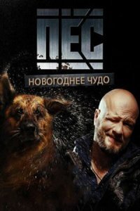  Новогодний пёс (2018) 