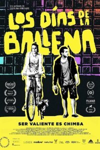  Дни кита (2019) 