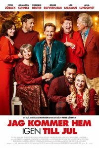  Вернусь домой на Рождество (2019) 