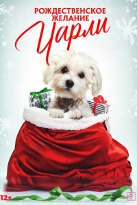  Рождественское желание Чарли (2020) 