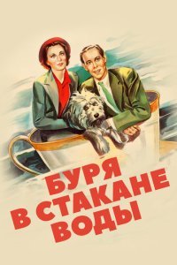  Буря в стакане воды (1937) 
