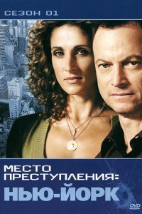  CSI: Место преступления Нью-Йорк (2004) 