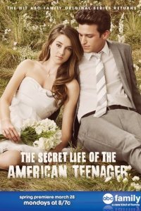  Втайне от родителей (2008) 