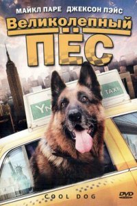  Великолепный пес (2010) 