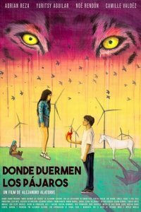  Там, где спят птицы (2022) 
