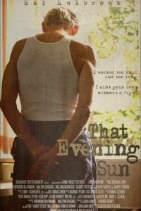  Это вечернее солнце (2009) 