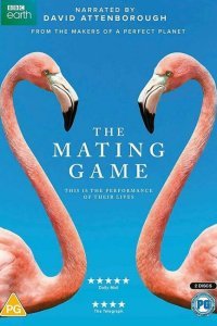  Брачная Игра (2021) 