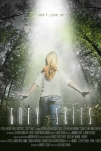  Серые небеса (2010) 