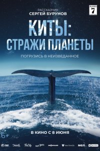  Киты: Стражи планеты (2023) 
