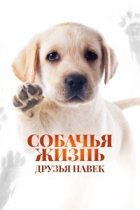  Собачья жизнь: Друзья навек (2023) 