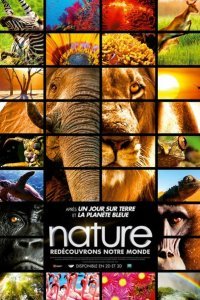  Заколдованное королевство 3D (2014) 