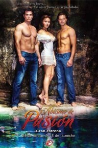  Бездна страсти (2012) 