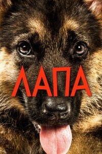 Лапа (2015) 