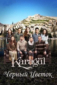 Черный цветок (2013) 