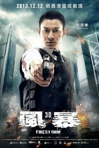  Огненная буря (2013) 