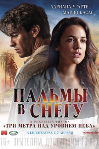  Пальмы в снегу (2015) 