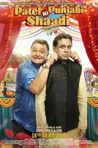  Пенджабо-гуджаратская свадьба (2017) 