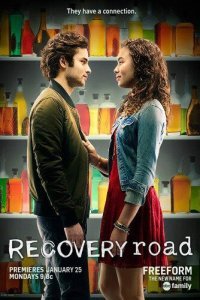  Путь к выздоровлению (2016) 