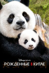  Рождённые в Китае (2016) 