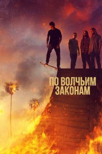  По волчьим законам (2016) 