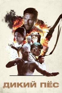  Дикий пёс (2017) 