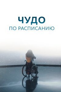  Чудо по расписанию (2016) 
