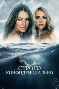  Строго конфиденциально (2024) 