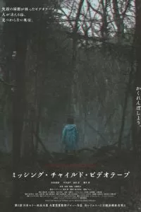 Видеозапись исчезновения ребёнка (2024)